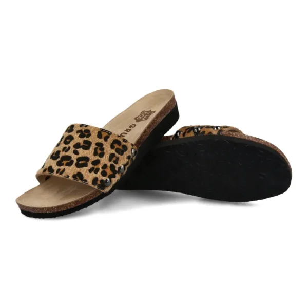 2613690 leopard 3