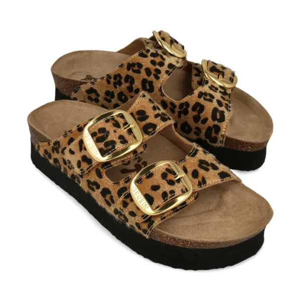 1563600 leopard 2