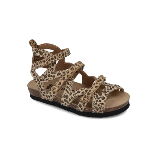 2593010 leopard 1 1.webp