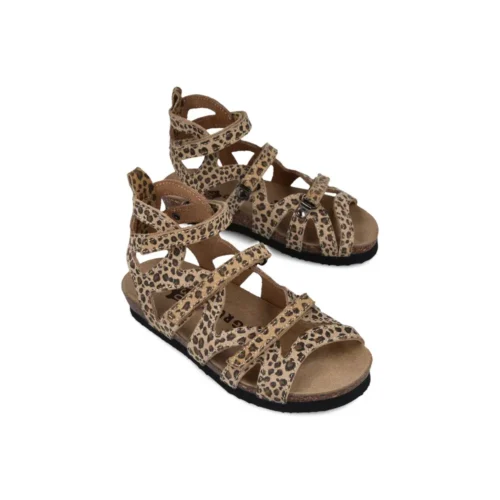 2593010 leopard 2 1 1.webp