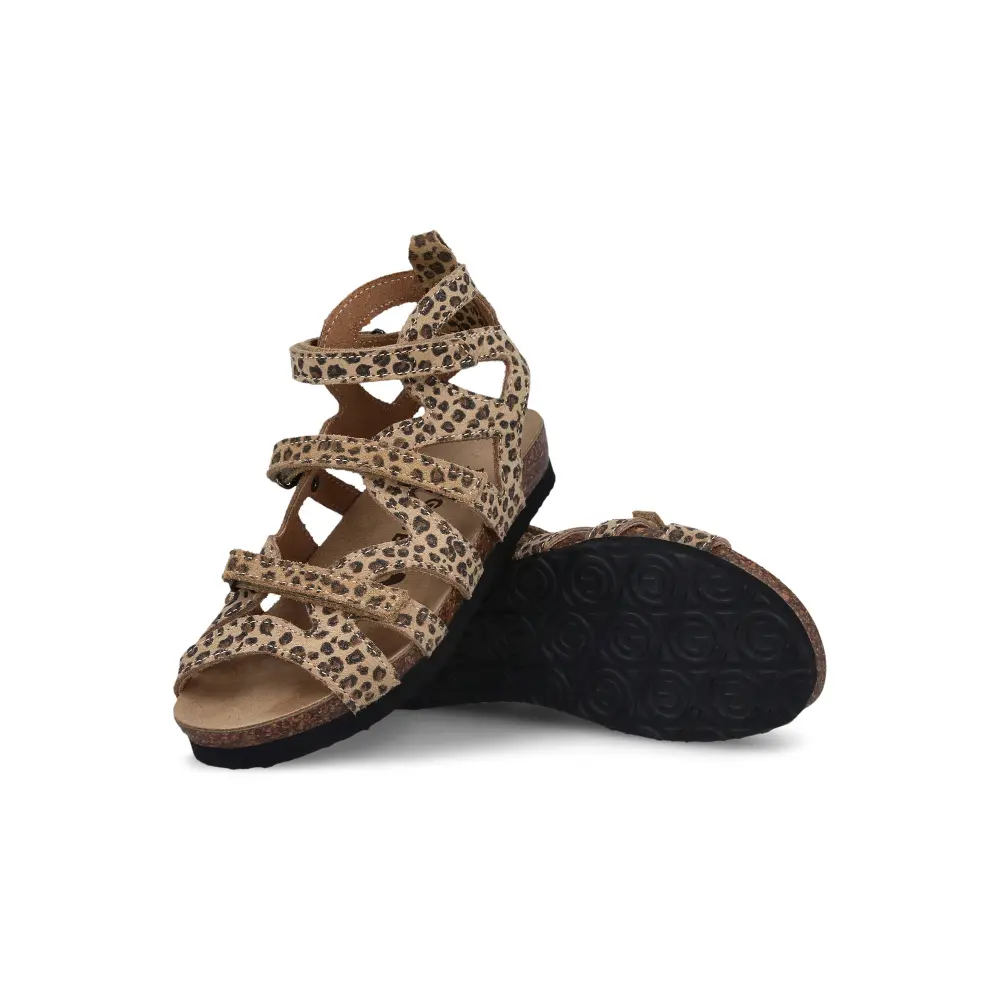 2593010 leopard 3 1 1.webp