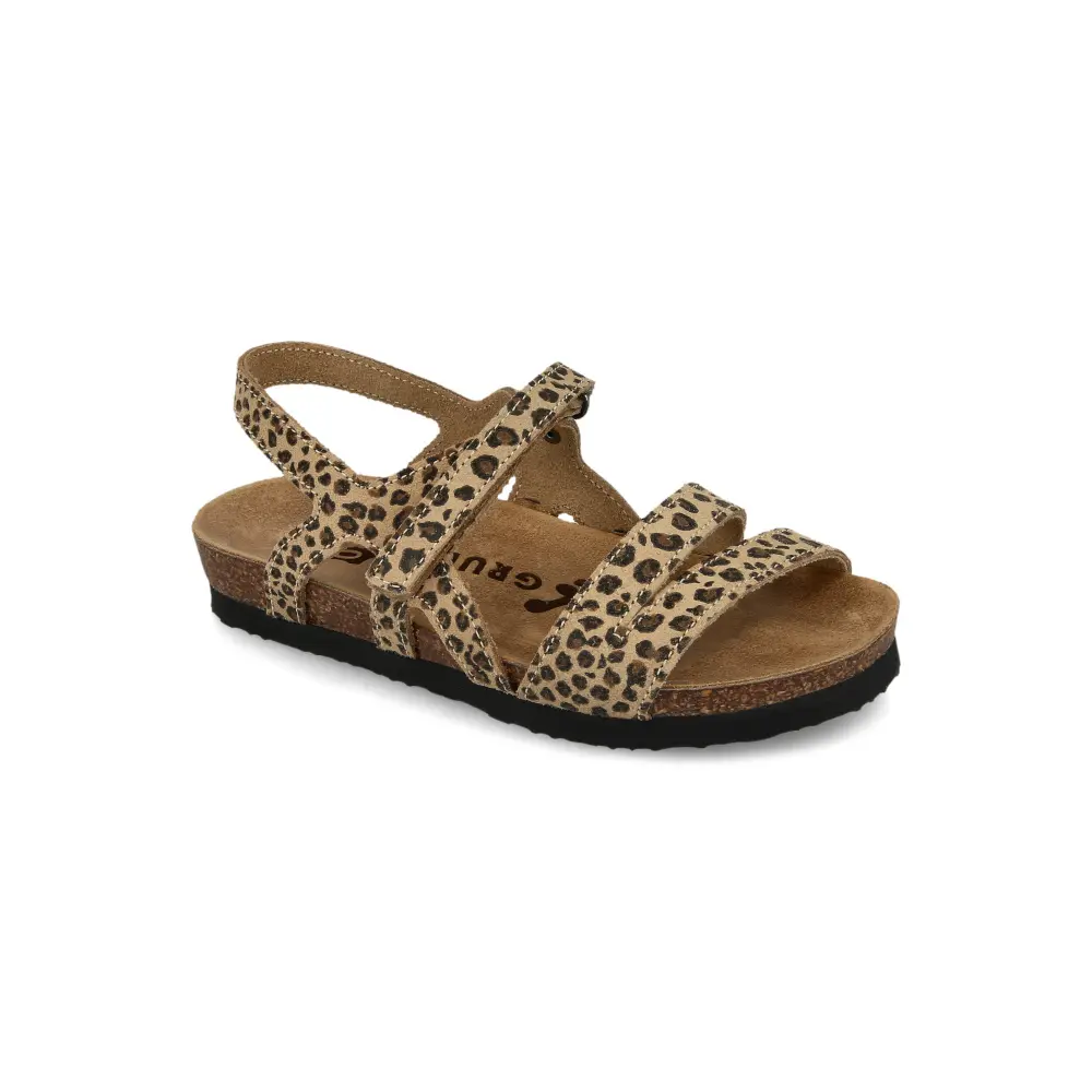 2603010 leopard 1.webp