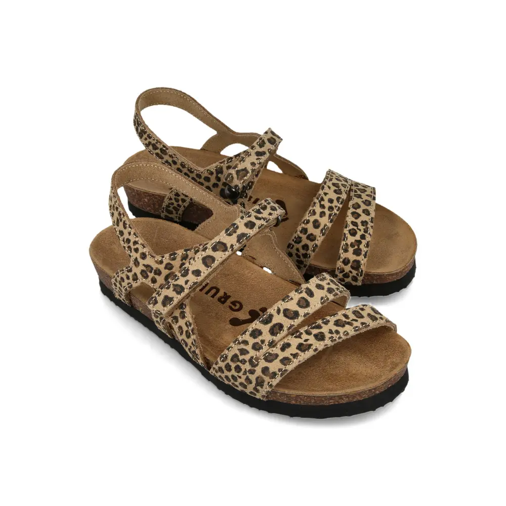 2603010 leopard 2.webp