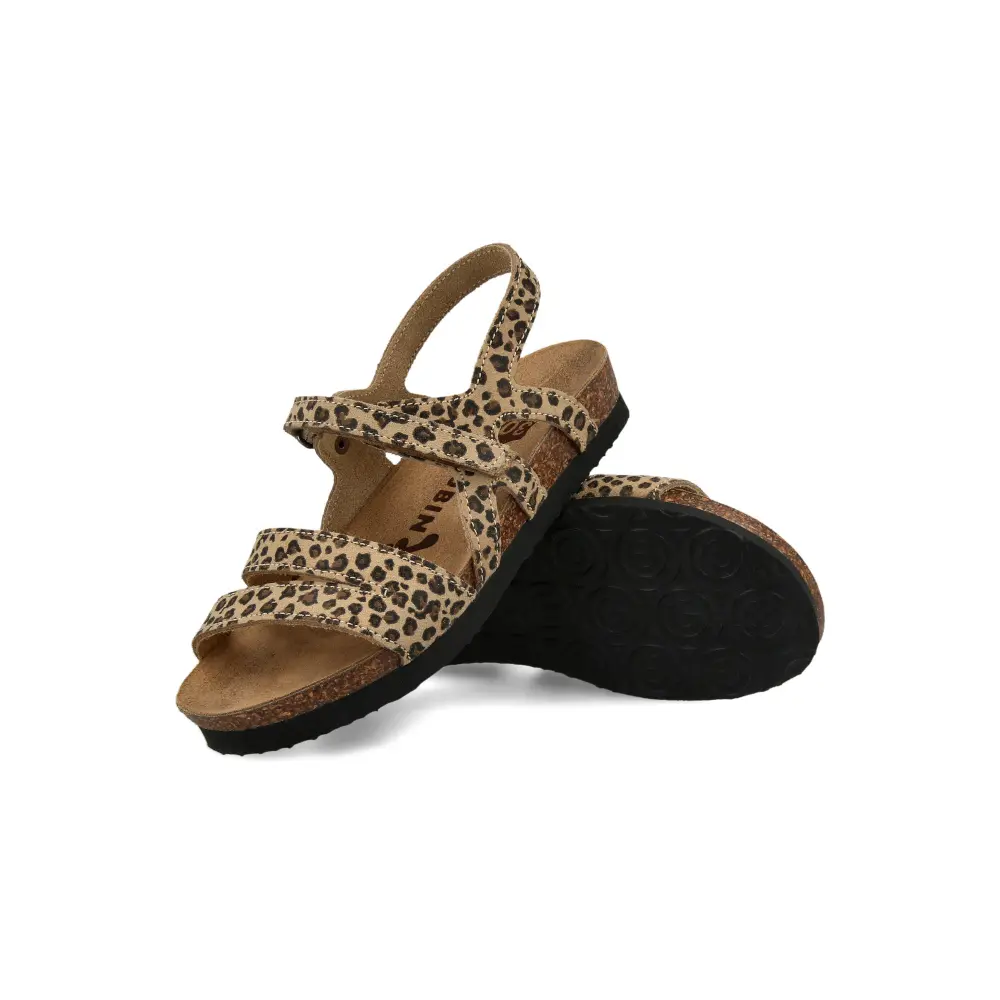 2603010 leopard 3 1.webp